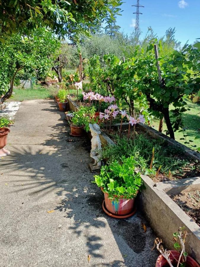 Appartamento Colle Perazzoni Fiano Romano Esterno foto