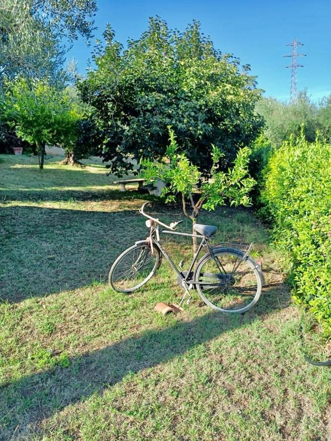 Appartamento Colle Perazzoni Fiano Romano Esterno foto