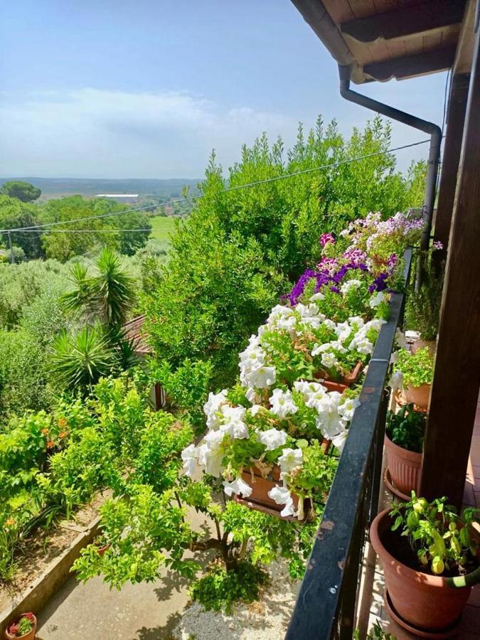 Appartamento Colle Perazzoni Fiano Romano Esterno foto