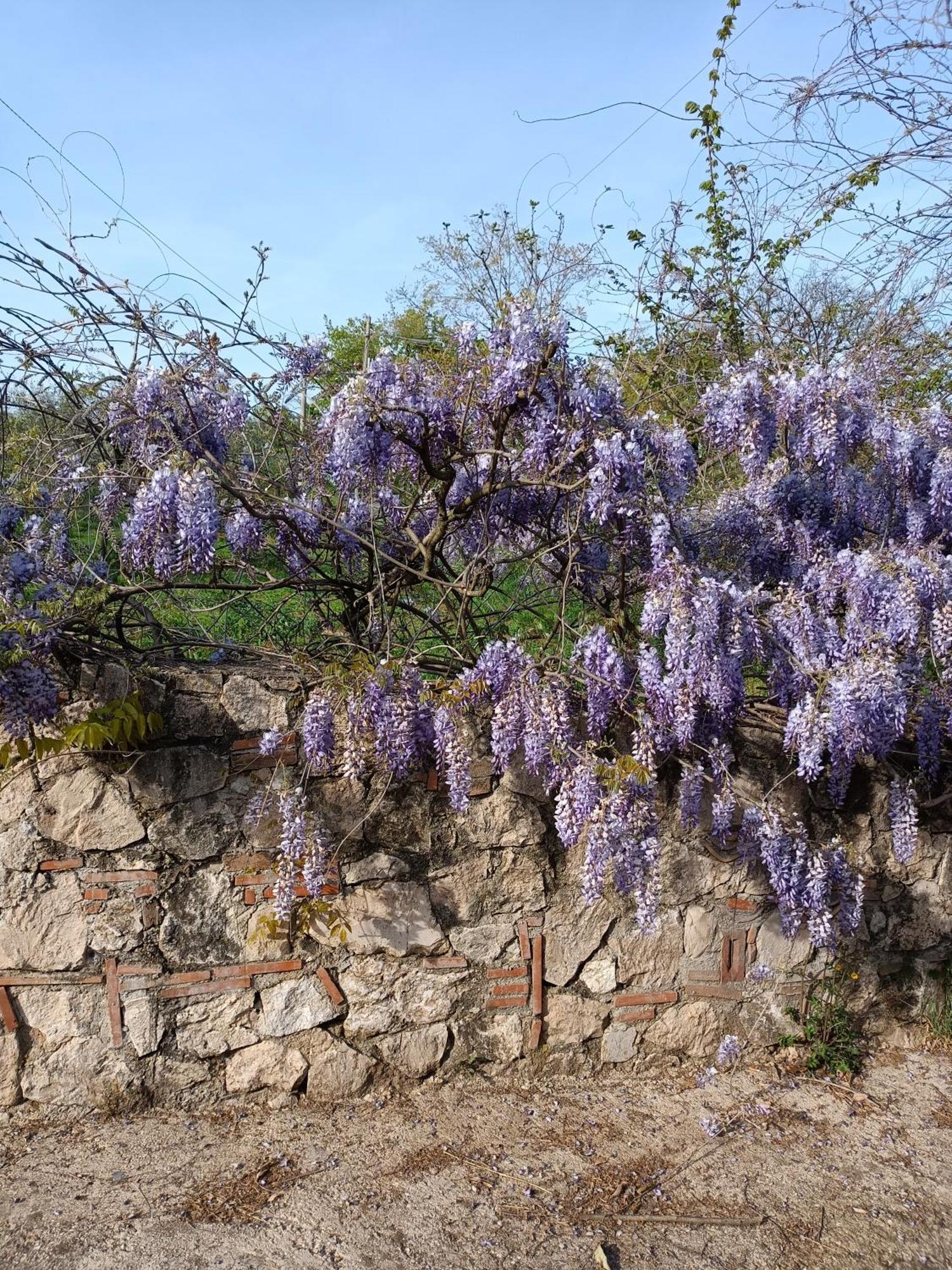 Appartamento Colle Perazzoni Fiano Romano Esterno foto