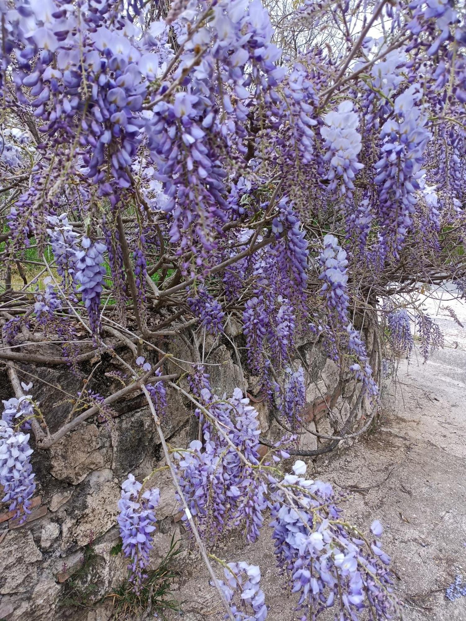 Appartamento Colle Perazzoni Fiano Romano Esterno foto