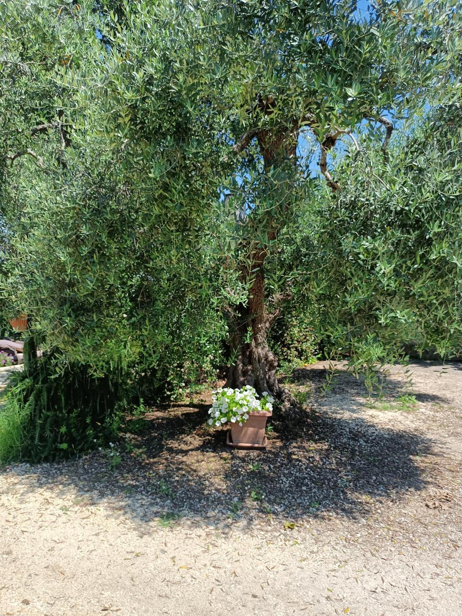 Appartamento Colle Perazzoni Fiano Romano Esterno foto