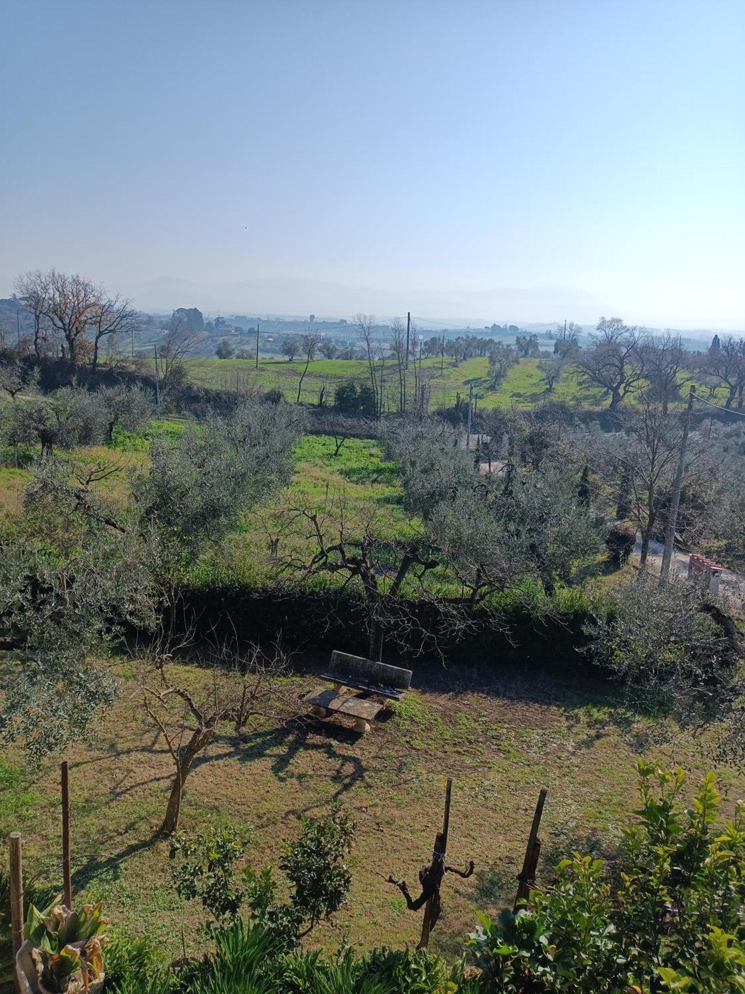 Appartamento Colle Perazzoni Fiano Romano Esterno foto