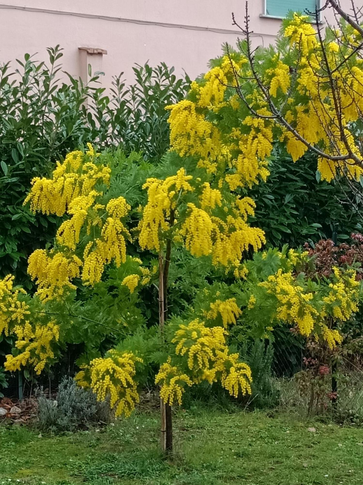 Appartamento Colle Perazzoni Fiano Romano Esterno foto