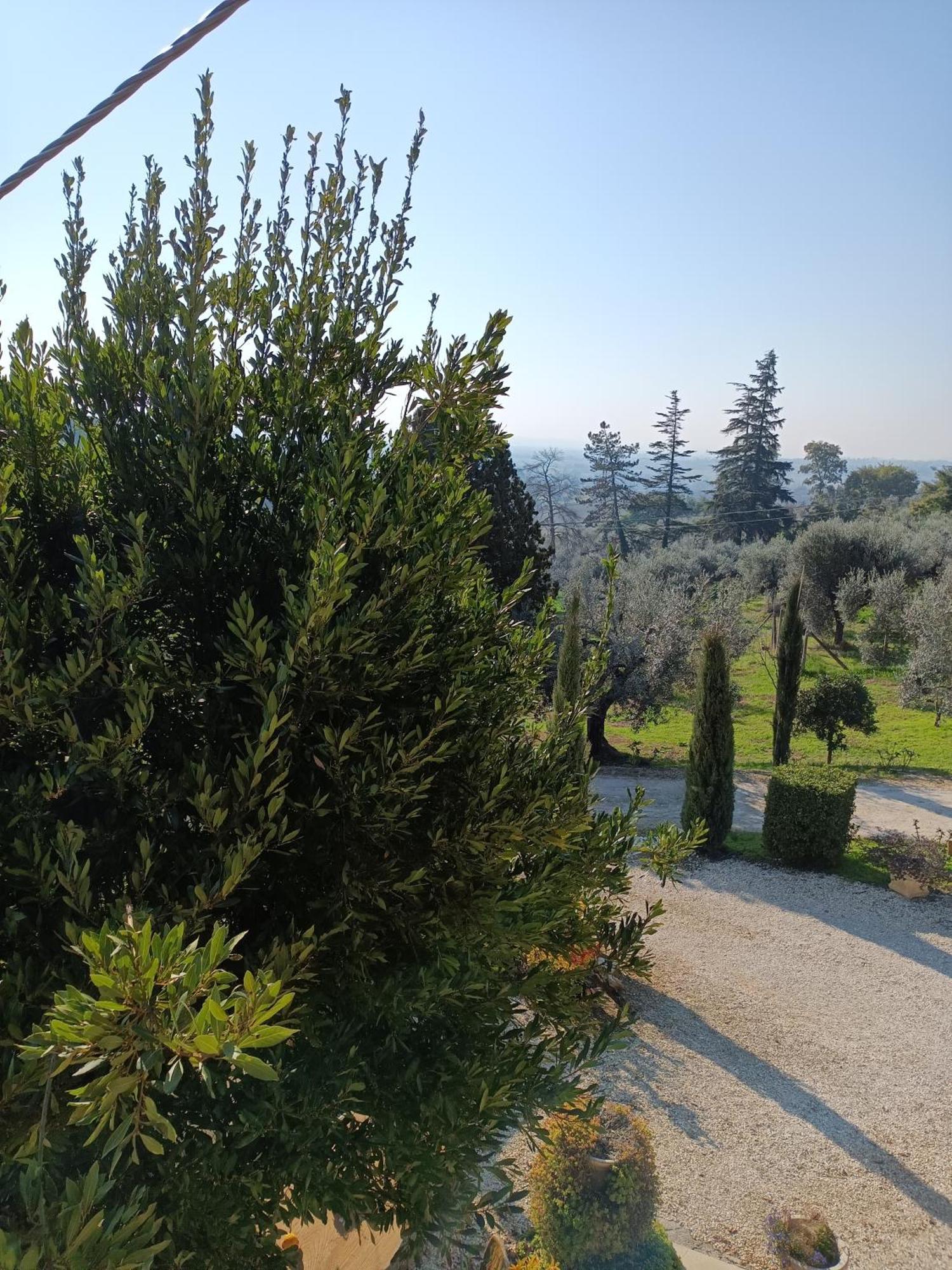 Appartamento Colle Perazzoni Fiano Romano Esterno foto