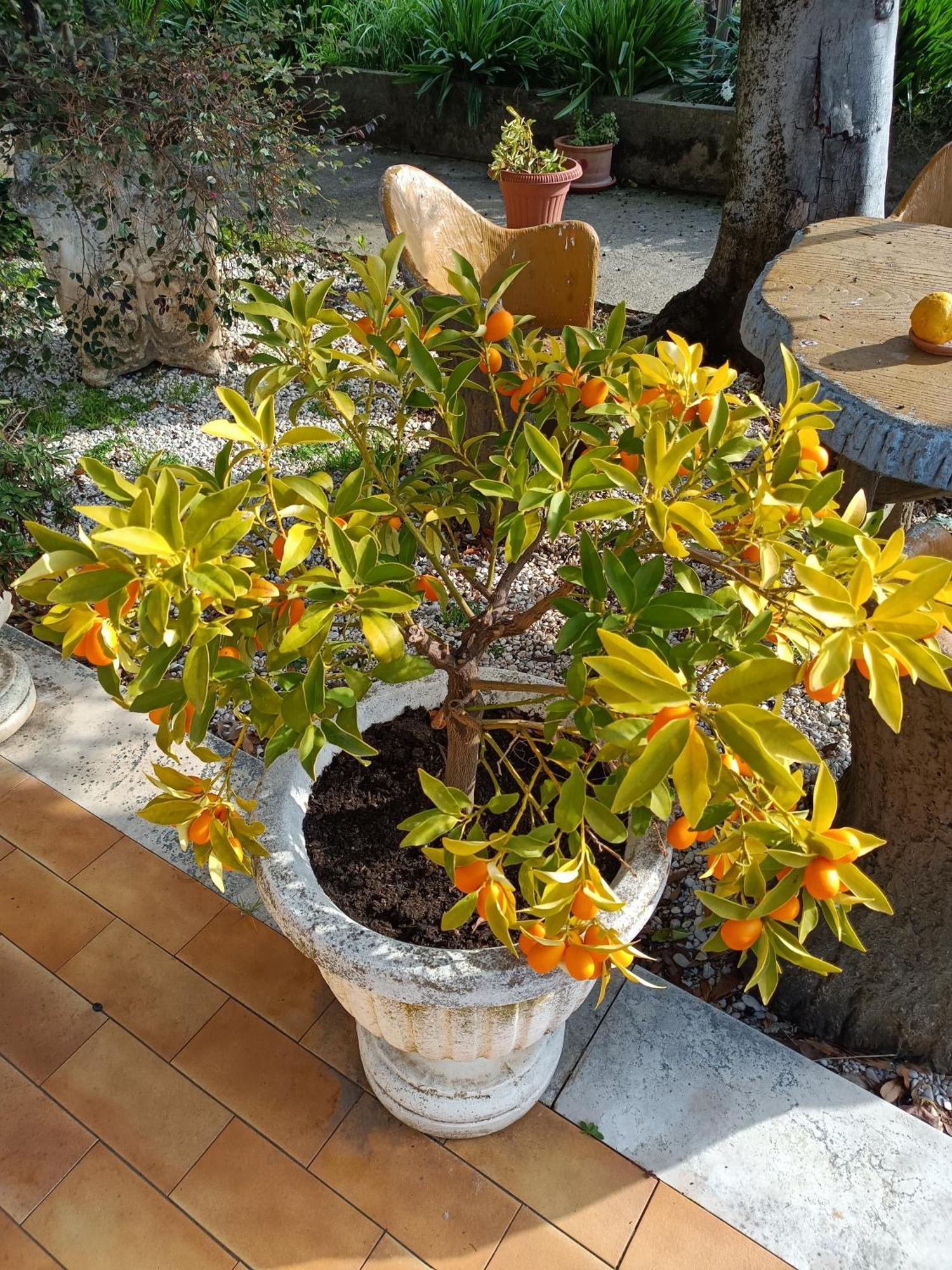 Appartamento Colle Perazzoni Fiano Romano Esterno foto