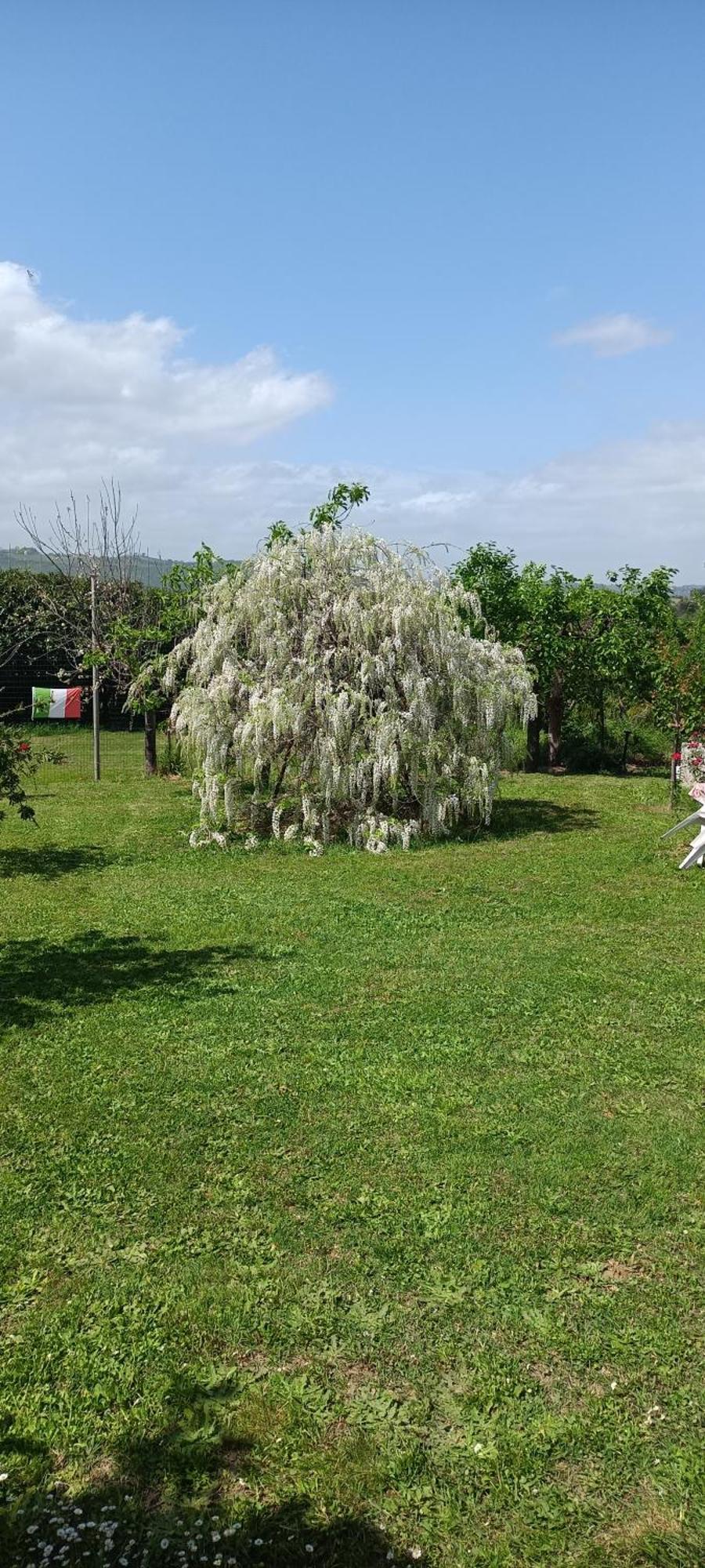 Appartamento Colle Perazzoni Fiano Romano Esterno foto