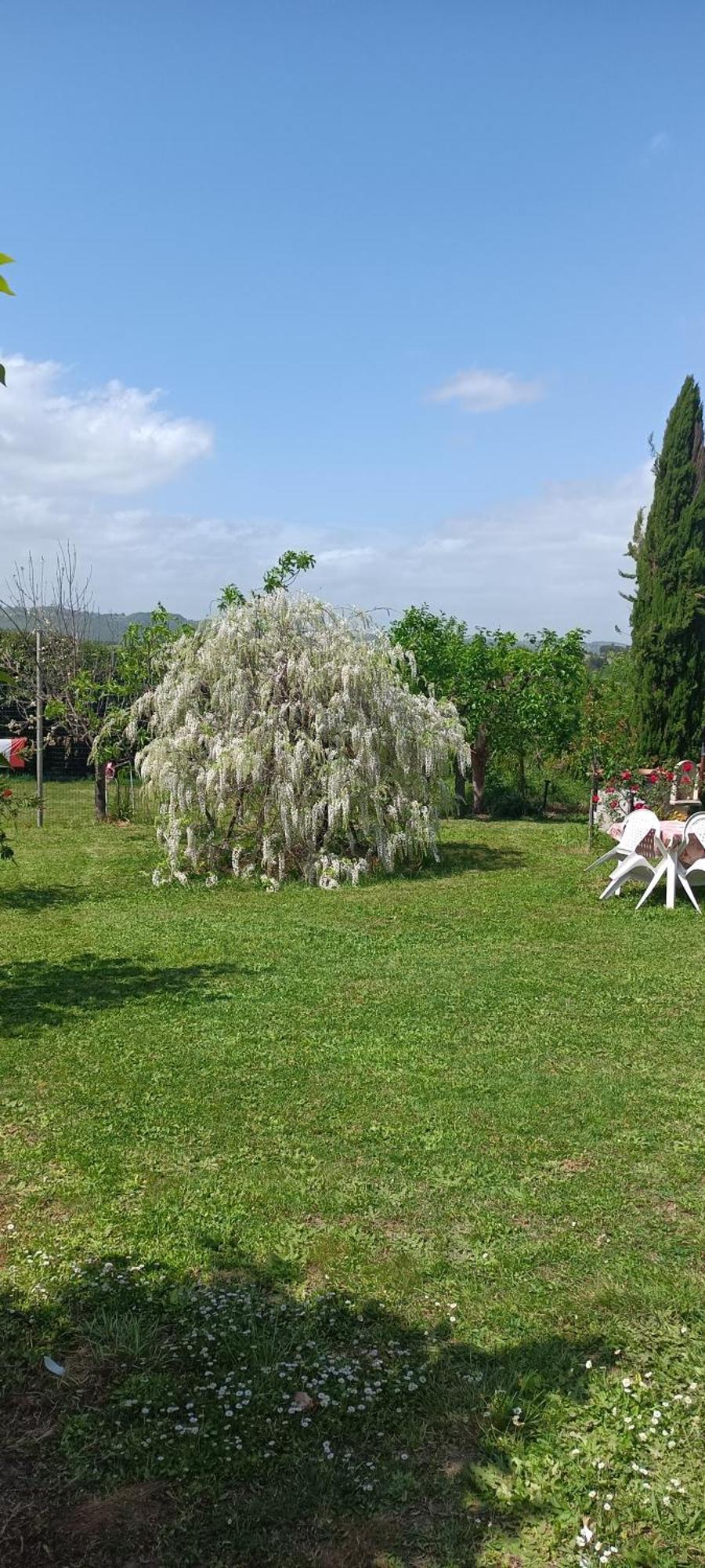 Appartamento Colle Perazzoni Fiano Romano Esterno foto