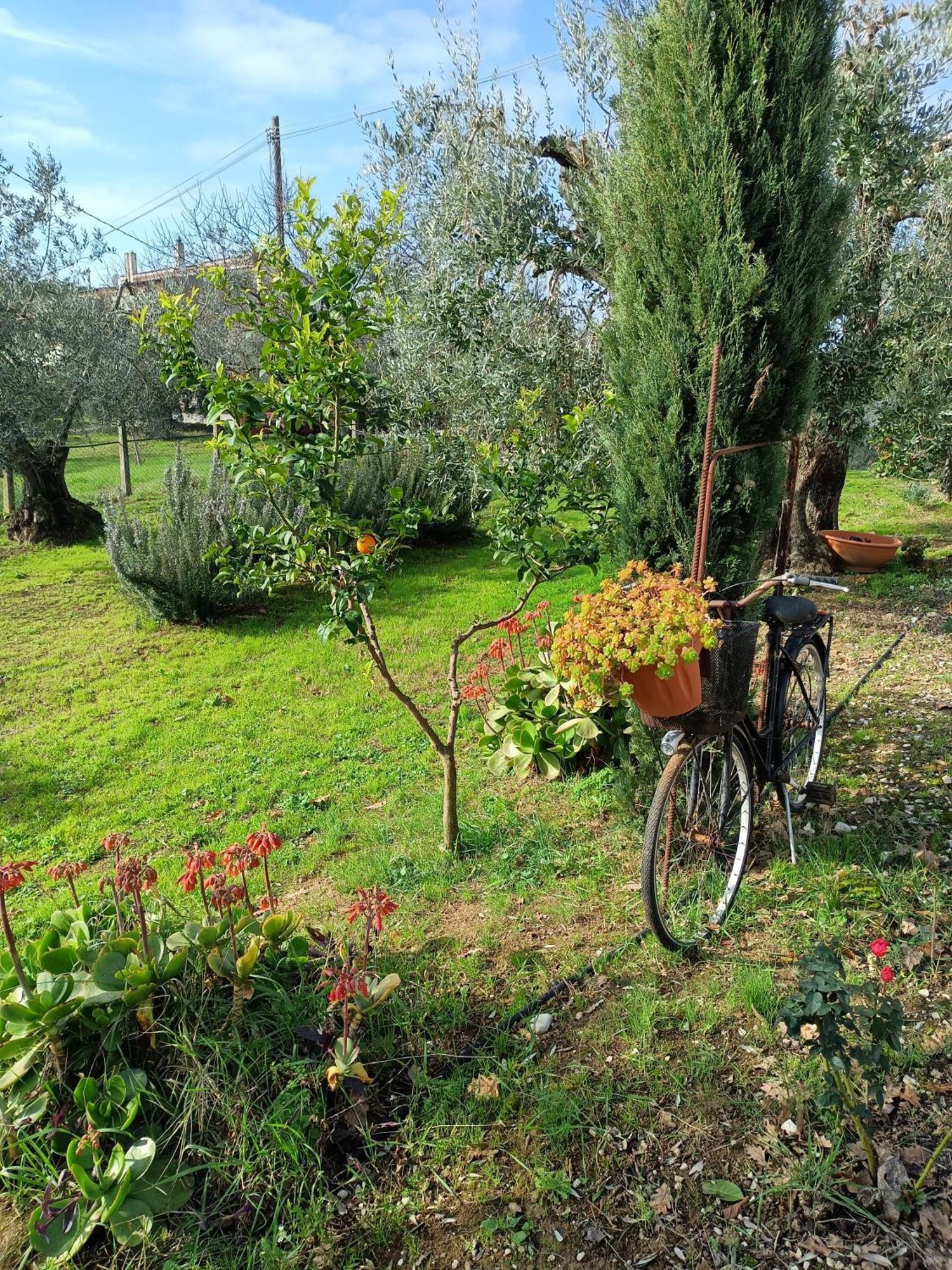 Appartamento Colle Perazzoni Fiano Romano Camera foto