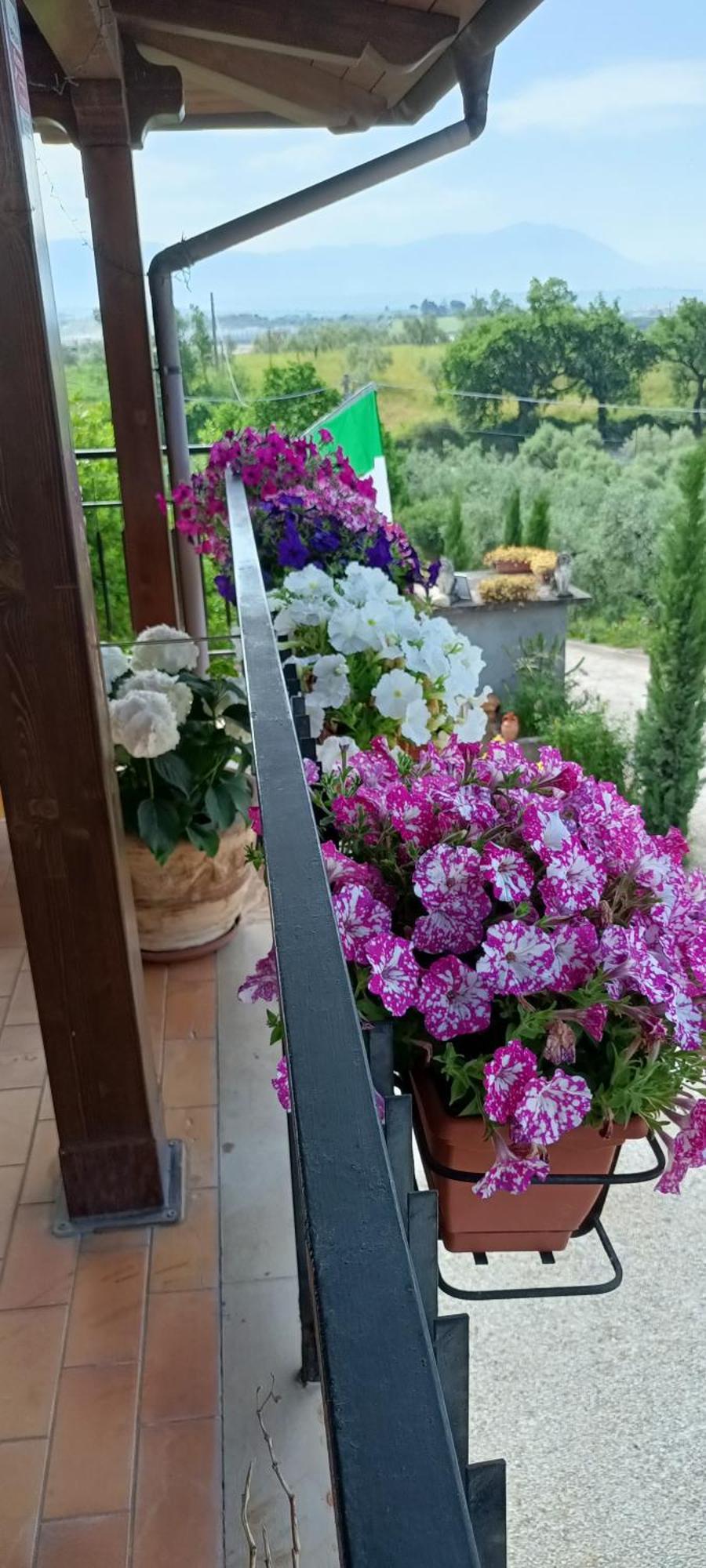 Appartamento Colle Perazzoni Fiano Romano Esterno foto