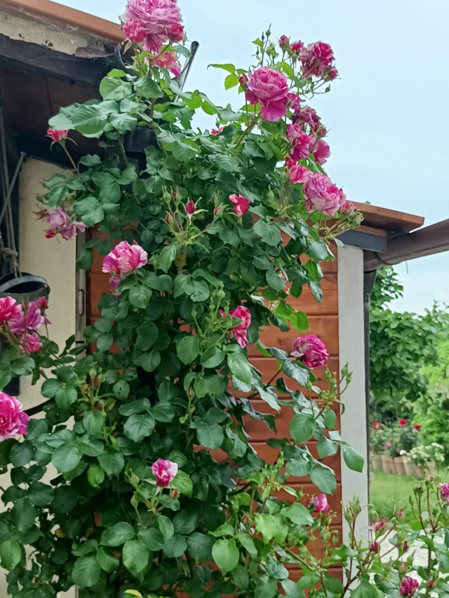 Appartamento Colle Perazzoni Fiano Romano Esterno foto